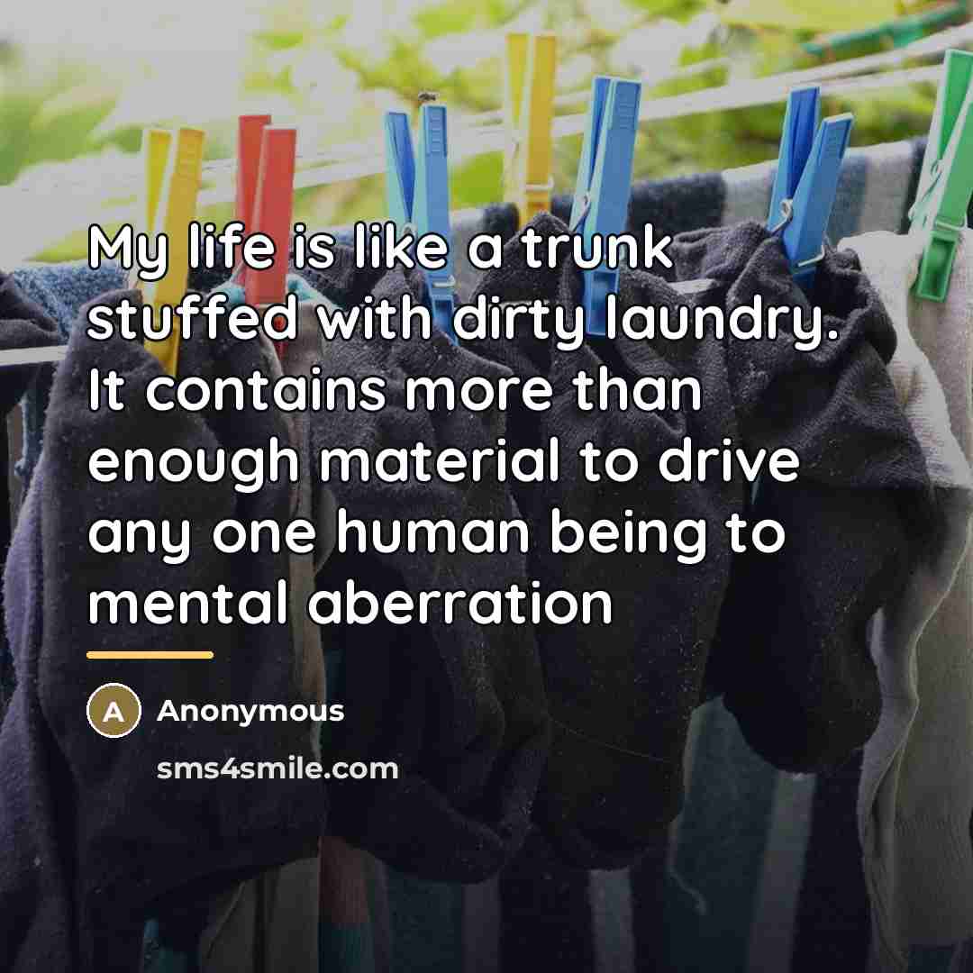 “My life is like a trunk stuffed with dirty laundry.…” quote by Anonymous