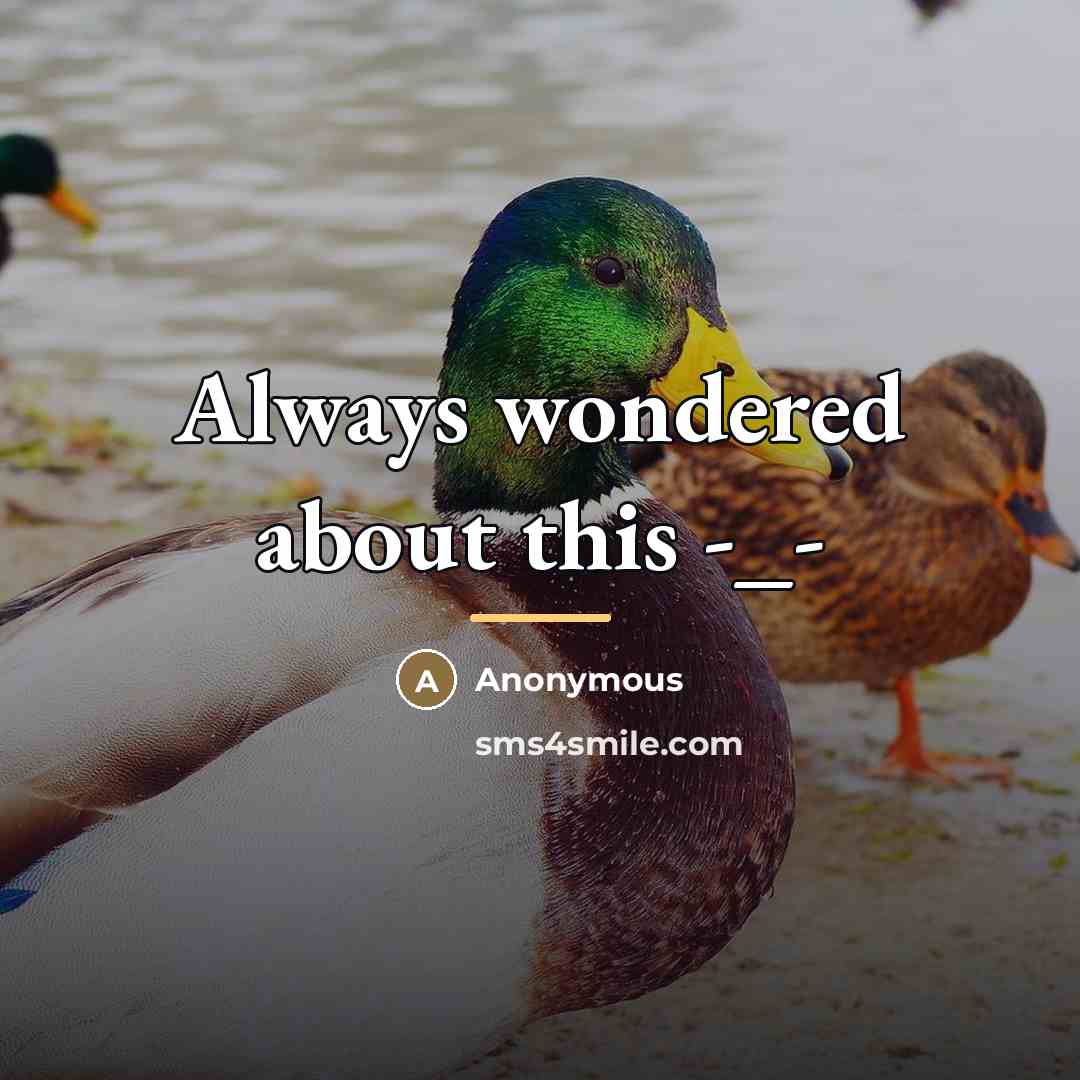 “Always wondered about this -_-…” quote by Anonymous