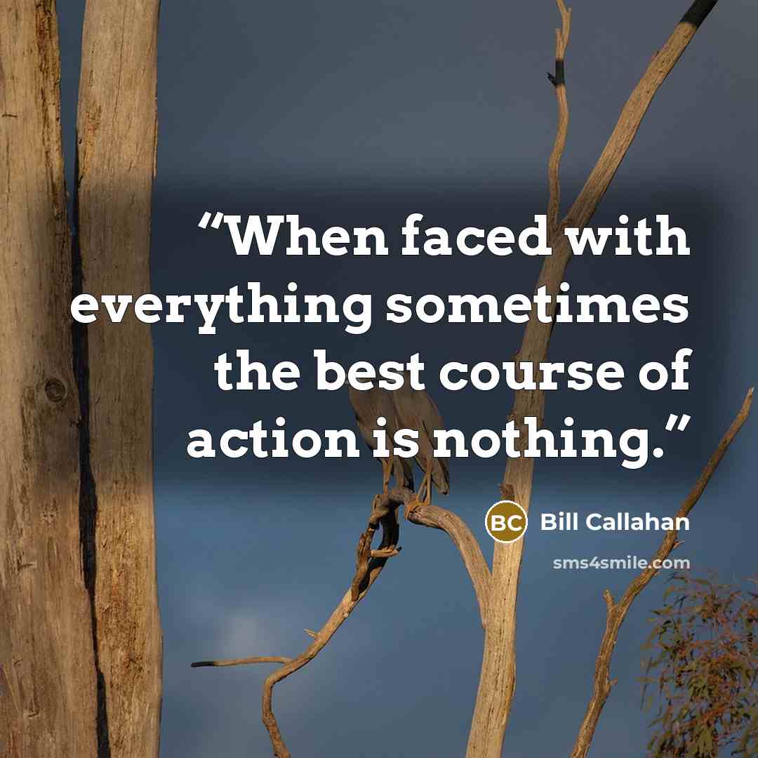 “When faced with everything sometimes the best course of action is nothing.” quote by Bill Callahan