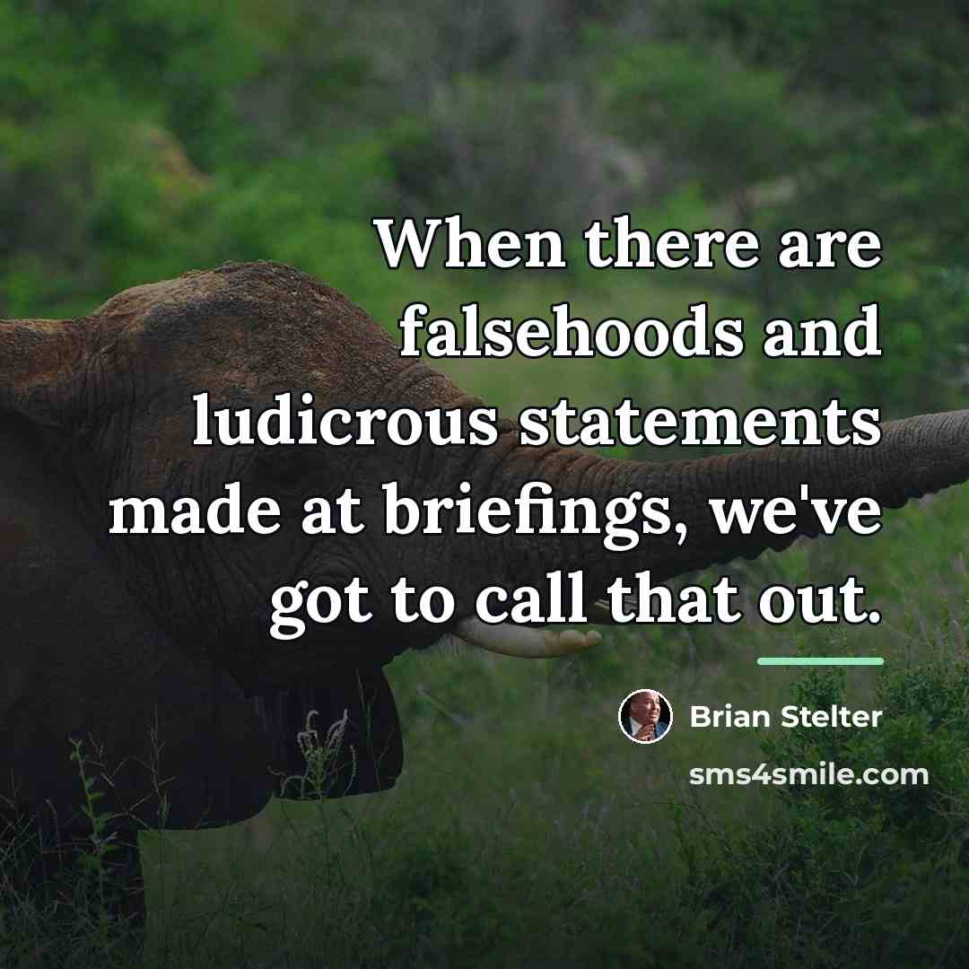 “When there are falsehoods and ludicrous statements made at briefings,…” quote by Brian Stelter