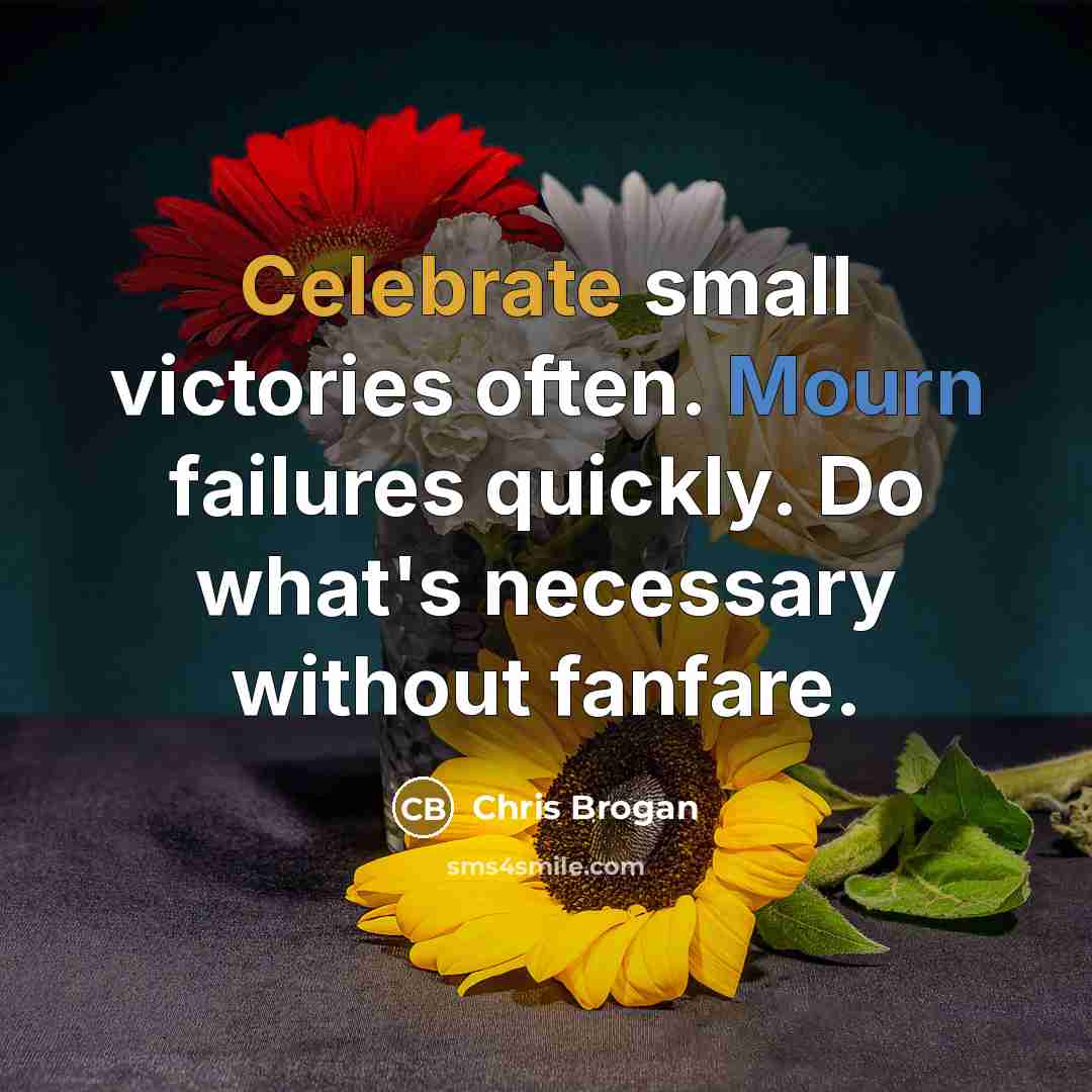 “Celebrate small victories often. Mourn failures quickly. Do what's necessary…” quote by Chris Brogan