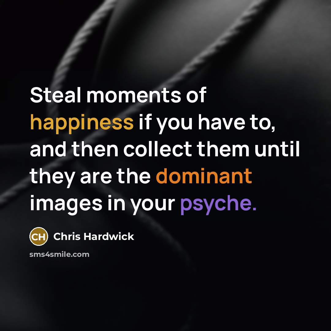 “Steal moments of happiness if you have to, and then…” quote by Chris Hardwick