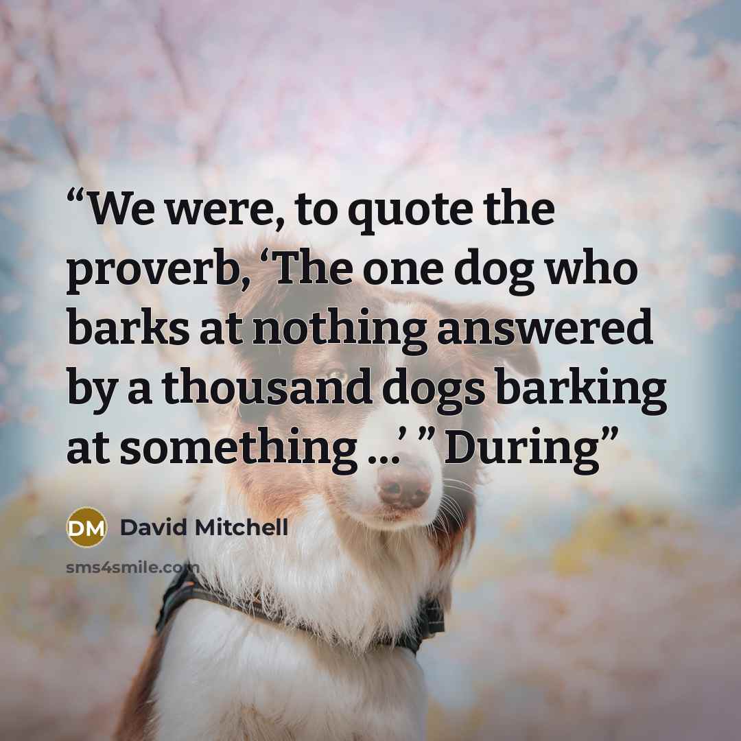 “We were, to quote the proverb, ‘The one dog who barks at nothing answered by a thousand dogs barking at something …’ ” During” quote by David Mitchell