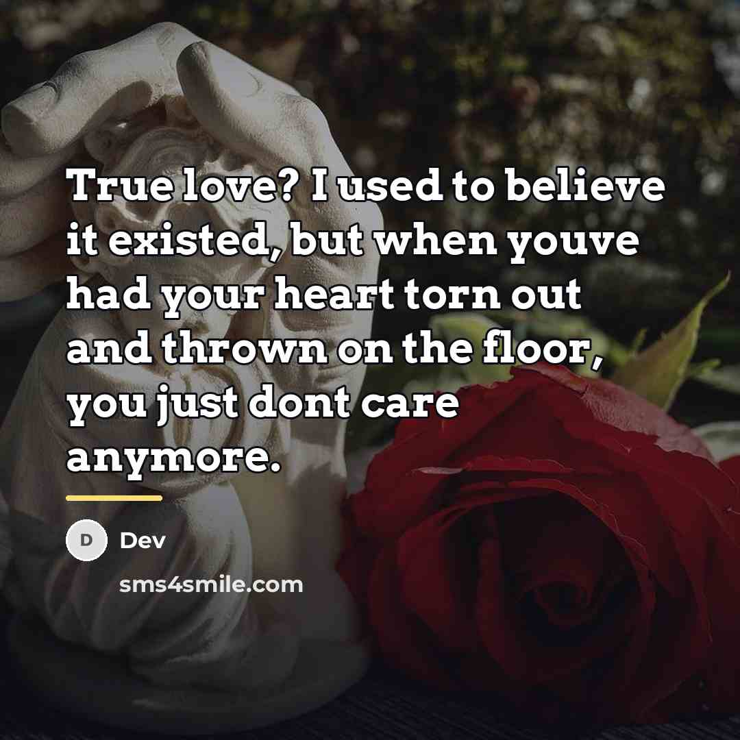 “True love? I used to believe it existed, but when…” quote by Dev