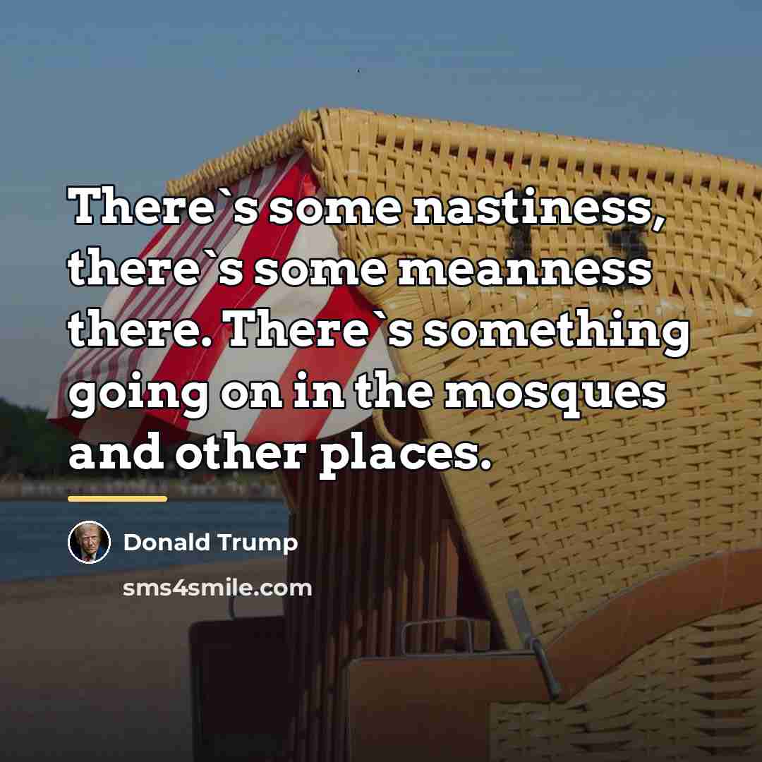 “There`s some nastiness, there`s some meanness there. There`s something going…” quote by Donald Trump