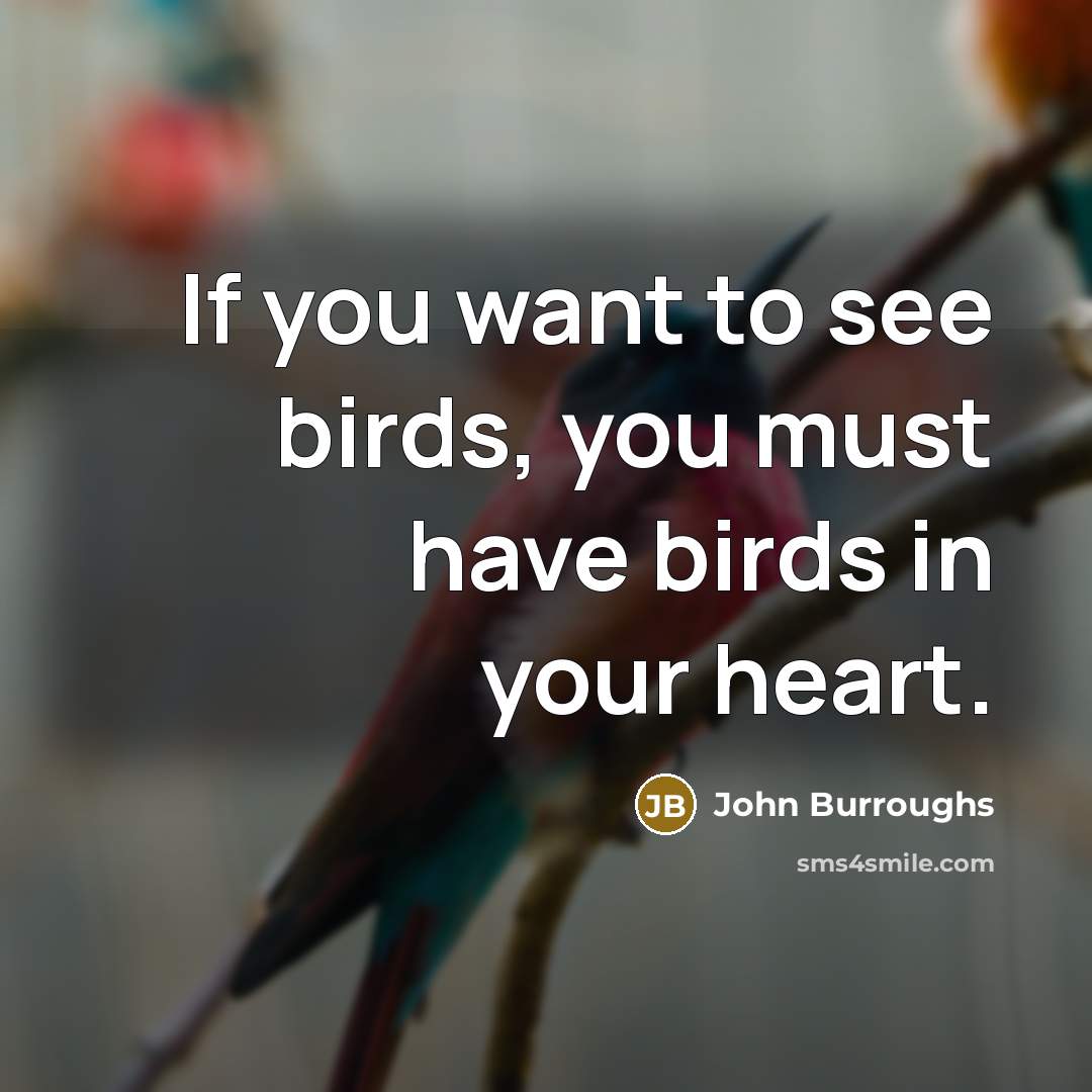 “If you want to see birds, you must have birds…” quote by John Burroughs