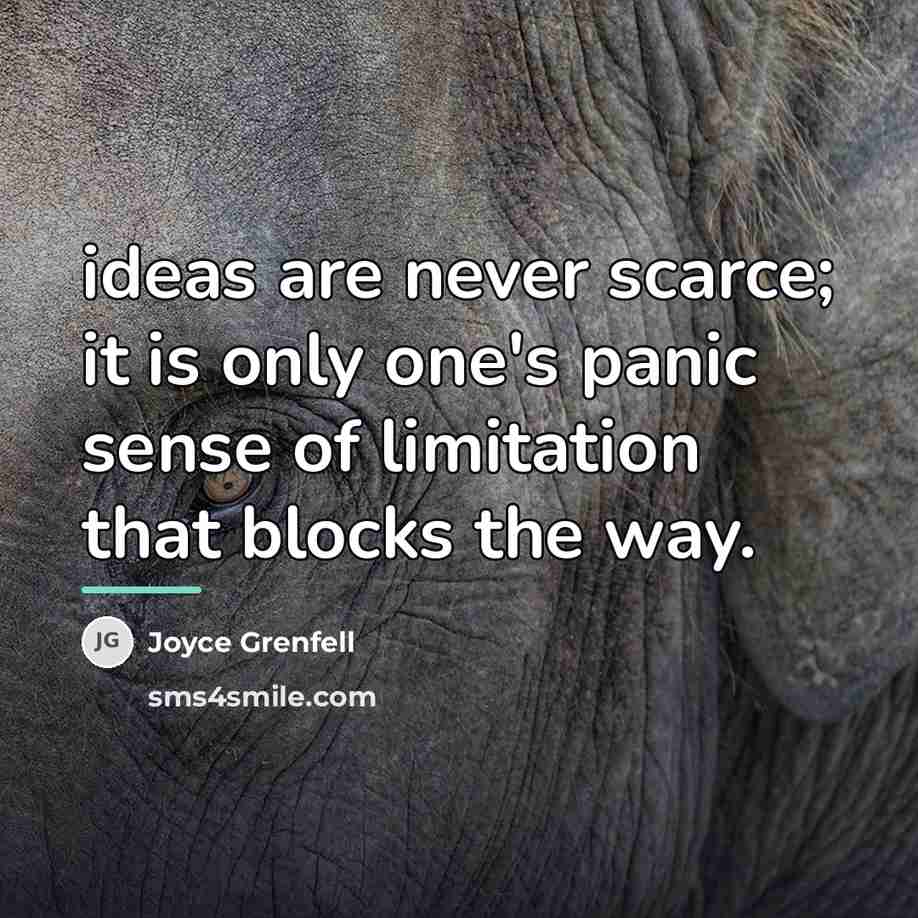 “ideas are never scarce; it is only one's panic sense…” quote by Joyce Grenfell