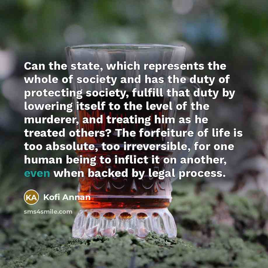 “Can the state, which represents the whole of society and…” quote by Kofi Annan