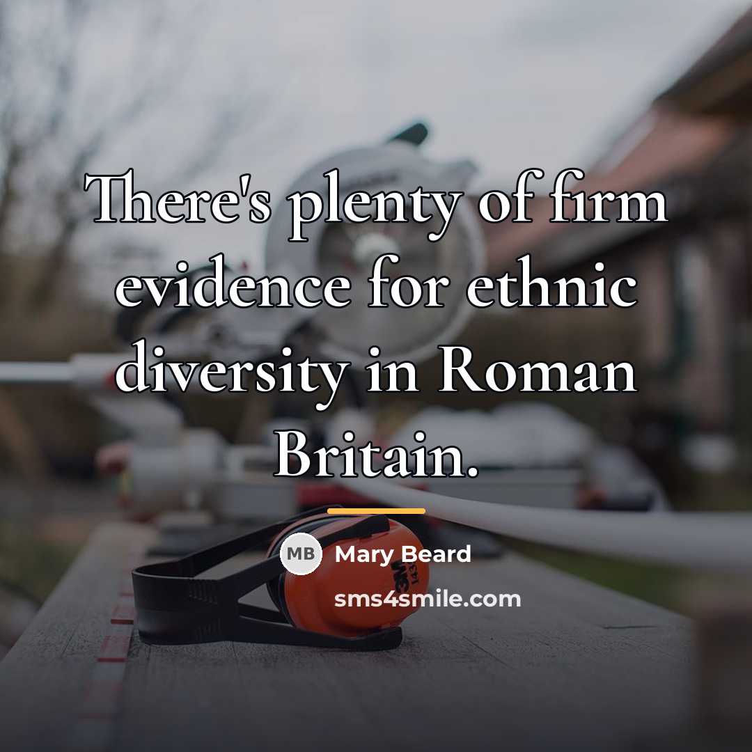 “There's plenty of firm evidence for ethnic diversity in Roman…” quote by Mary Beard