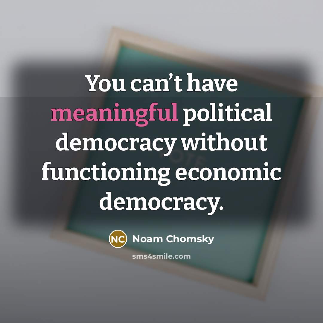 “You can’t have meaningful political democracy without functioning economic democracy.…” quote by Noam Chomsky