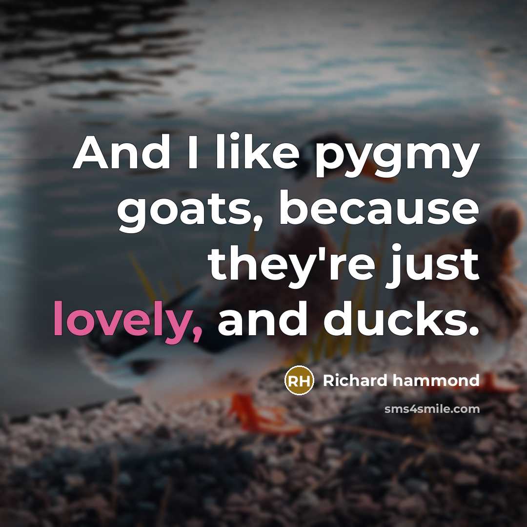 “And I like pygmy goats, because they're just lovely, and…” quote by Richard Hammond