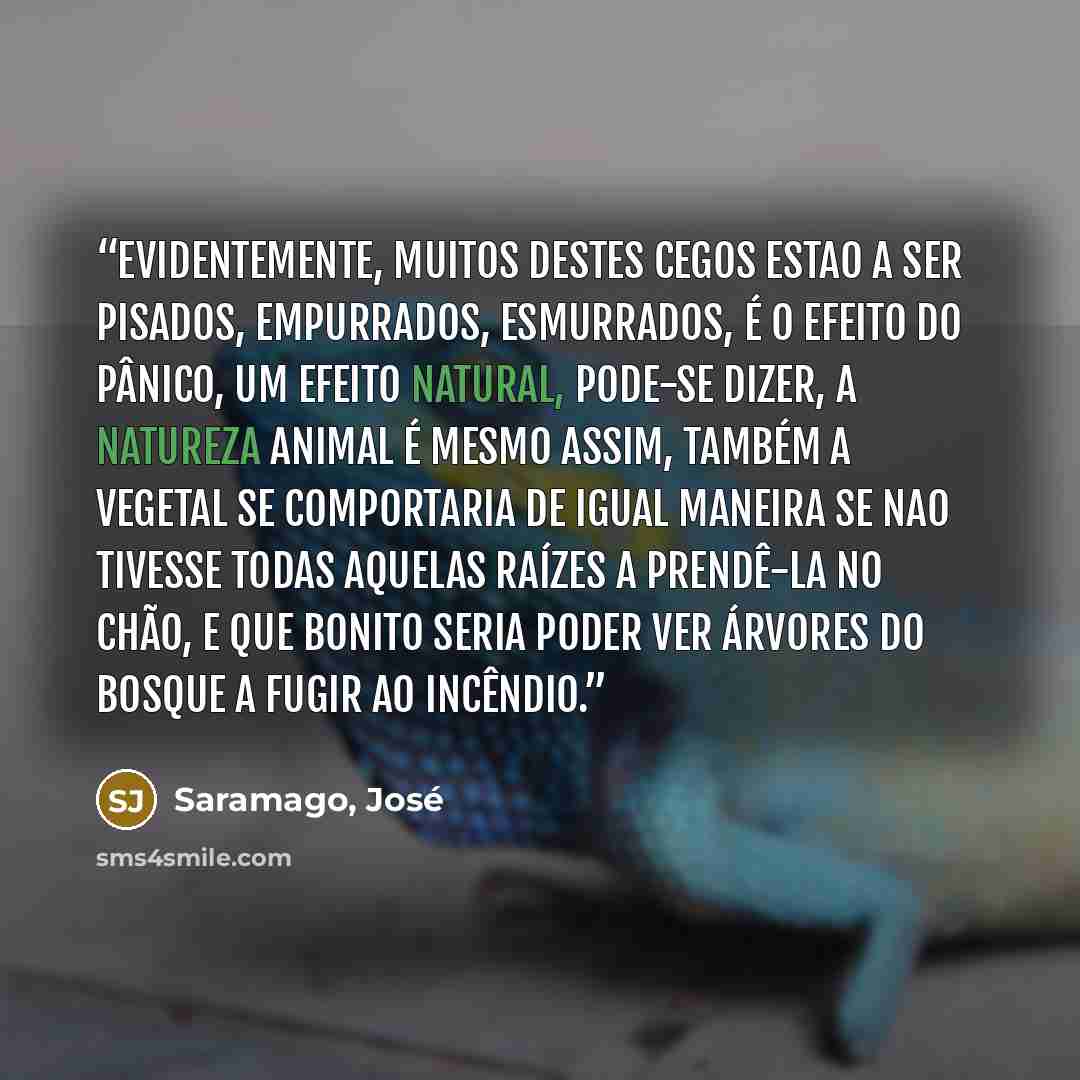 “Evidentemente, muitos destes cegos estao a ser pisados, empurrados, esmurrados, é o efeito do pânico, um efeito natural, pode-se dizer, a natureza animal é mesmo assim, também a vegetal se comportaria de igual maneira se nao tivesse todas aquelas raízes a prendê-la no chão, e que bonito seria…” quote by Saramago, José