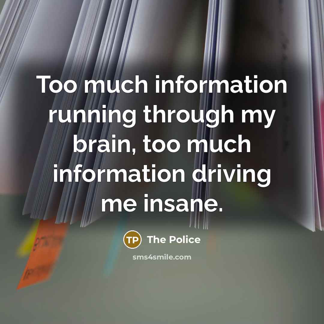 “Too much information running through my brain, too much information…” quote by The Police
