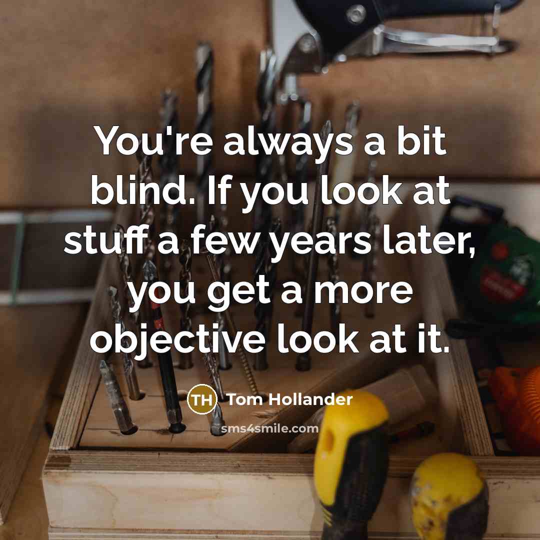 “You're always a bit blind. If you look at stuff…” quote by Tom Hollander