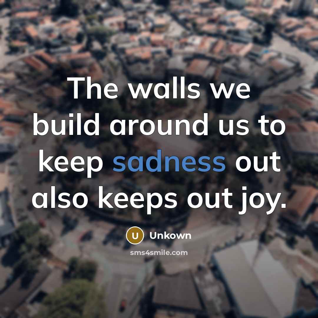 “The walls we build around us to keep sadness out…” quote by Unkown