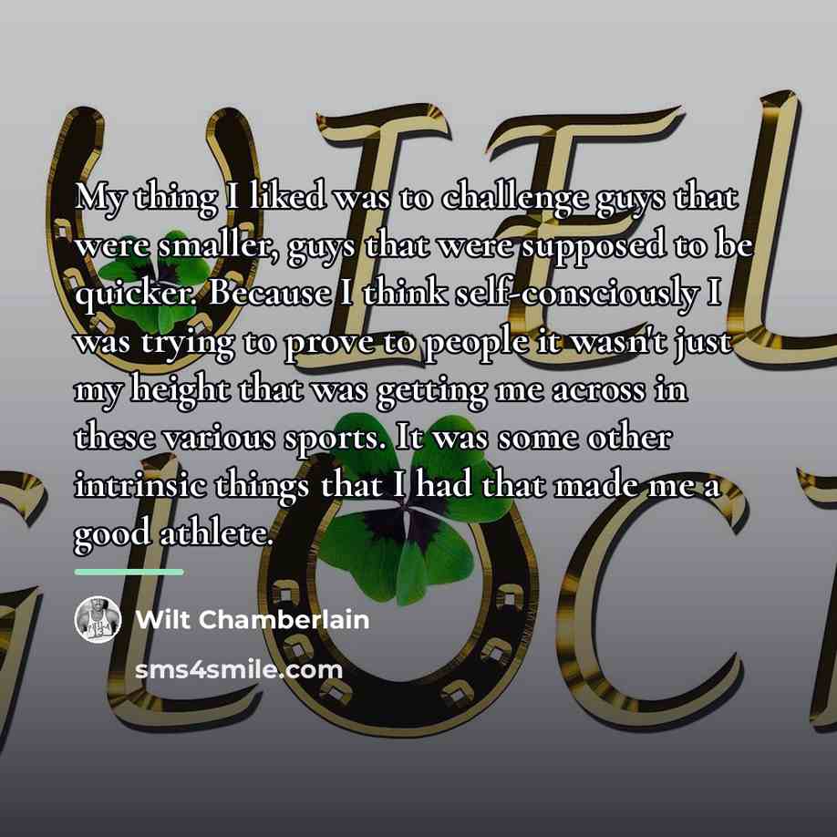 “My thing I liked was to challenge guys that were…” quote by Wilt Chamberlain