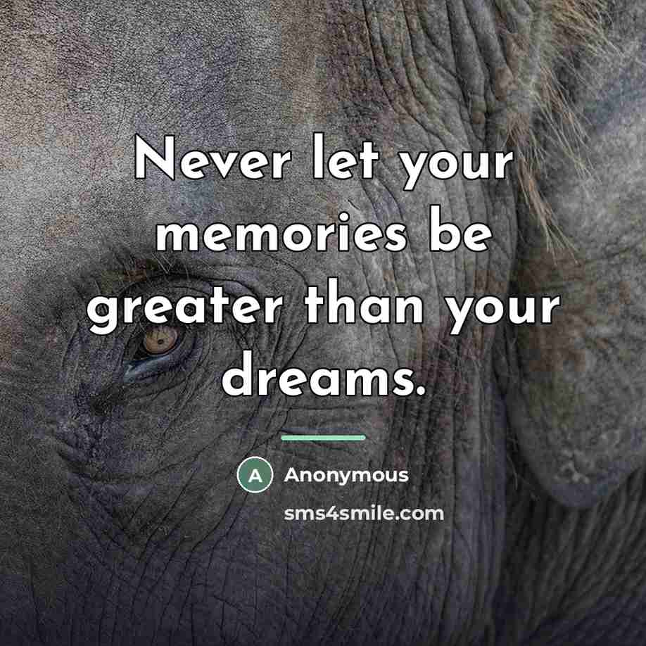 “Never let your memories be greater than your dreams.…” quote by Anonymous