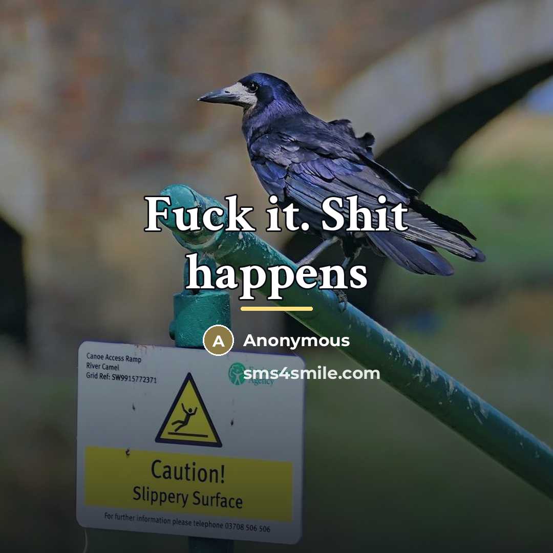 “Fuck it. Shit happens…” quote by Anonymous
