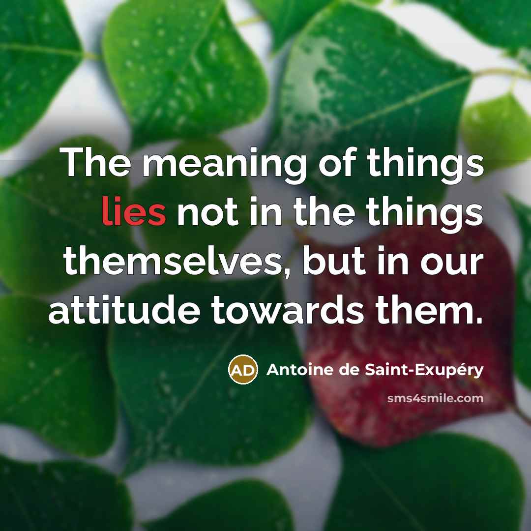 “The meaning of things lies not in the things themselves,…” quote by Antoine de Saint-Exupery