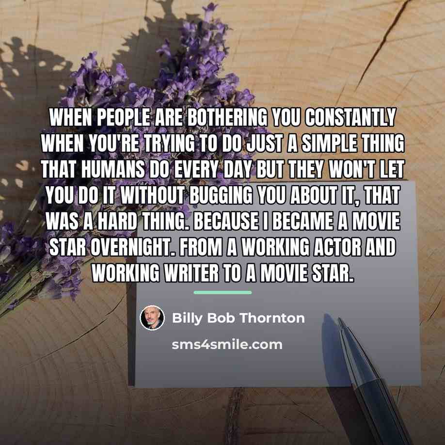 “When people are bothering you constantly when you're trying to…” quote by Billy Bob Thornton