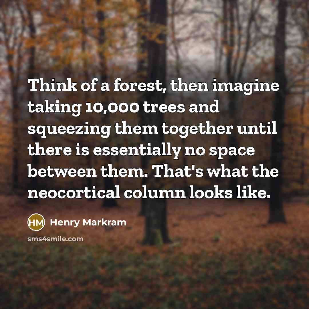 “Think of a forest, then imagine taking 10,000 trees and…” quote by Henry Markram