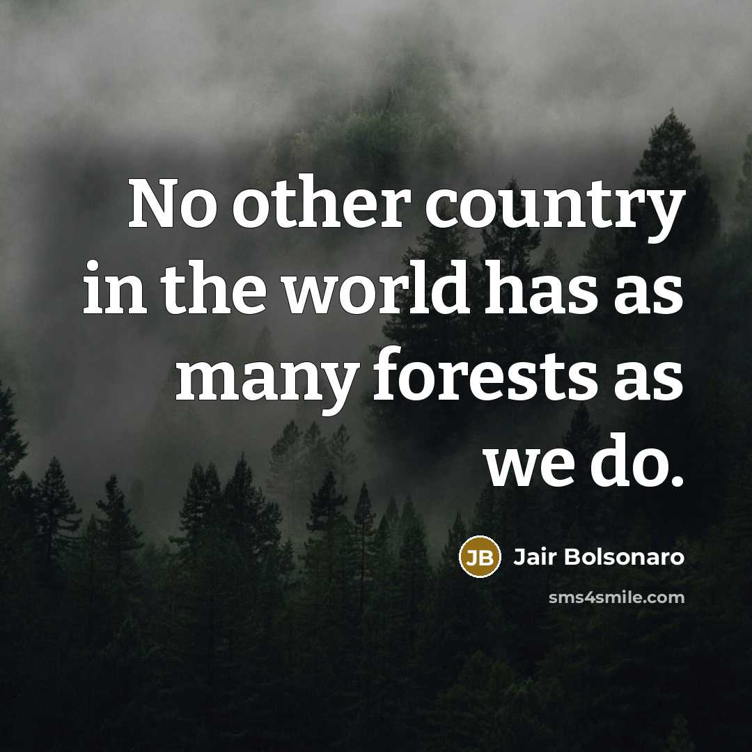 “No other country in the world has as many forests…” quote by Jair Bolsonaro
