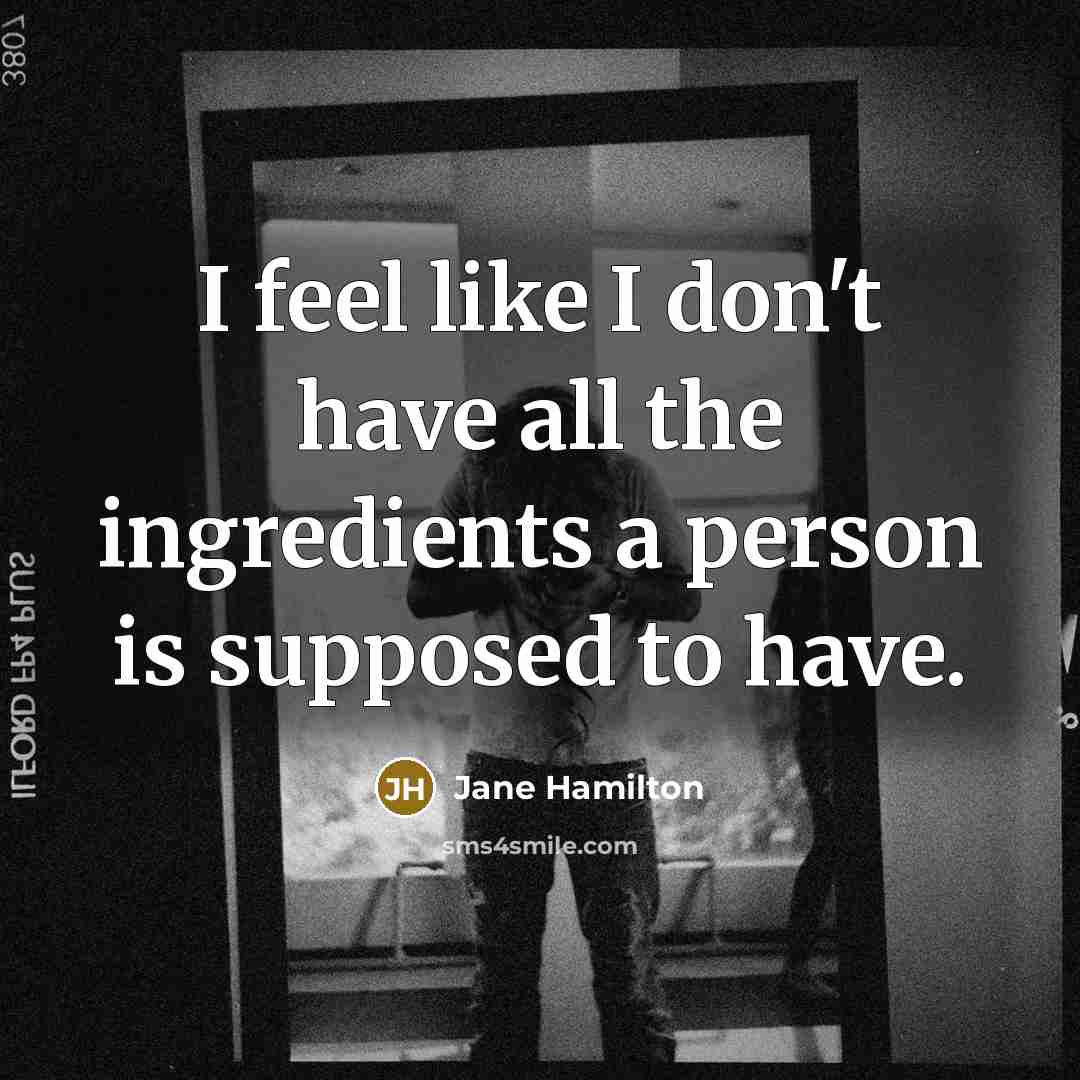 “I feel like I don't have all the ingredients a…” quote by Jane Hamilton