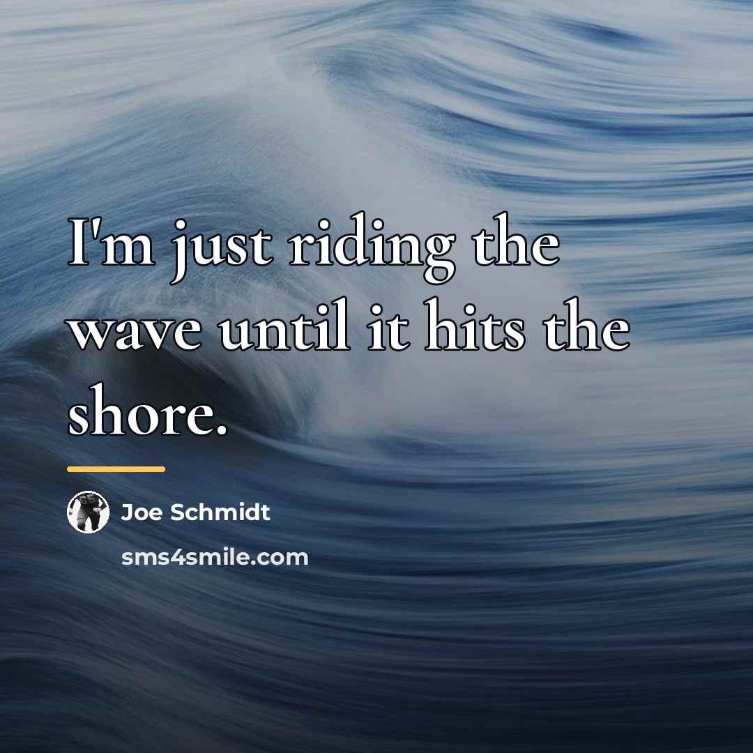 “I'm just riding the wave until it hits the shore.…” quote by Joe Schmidt