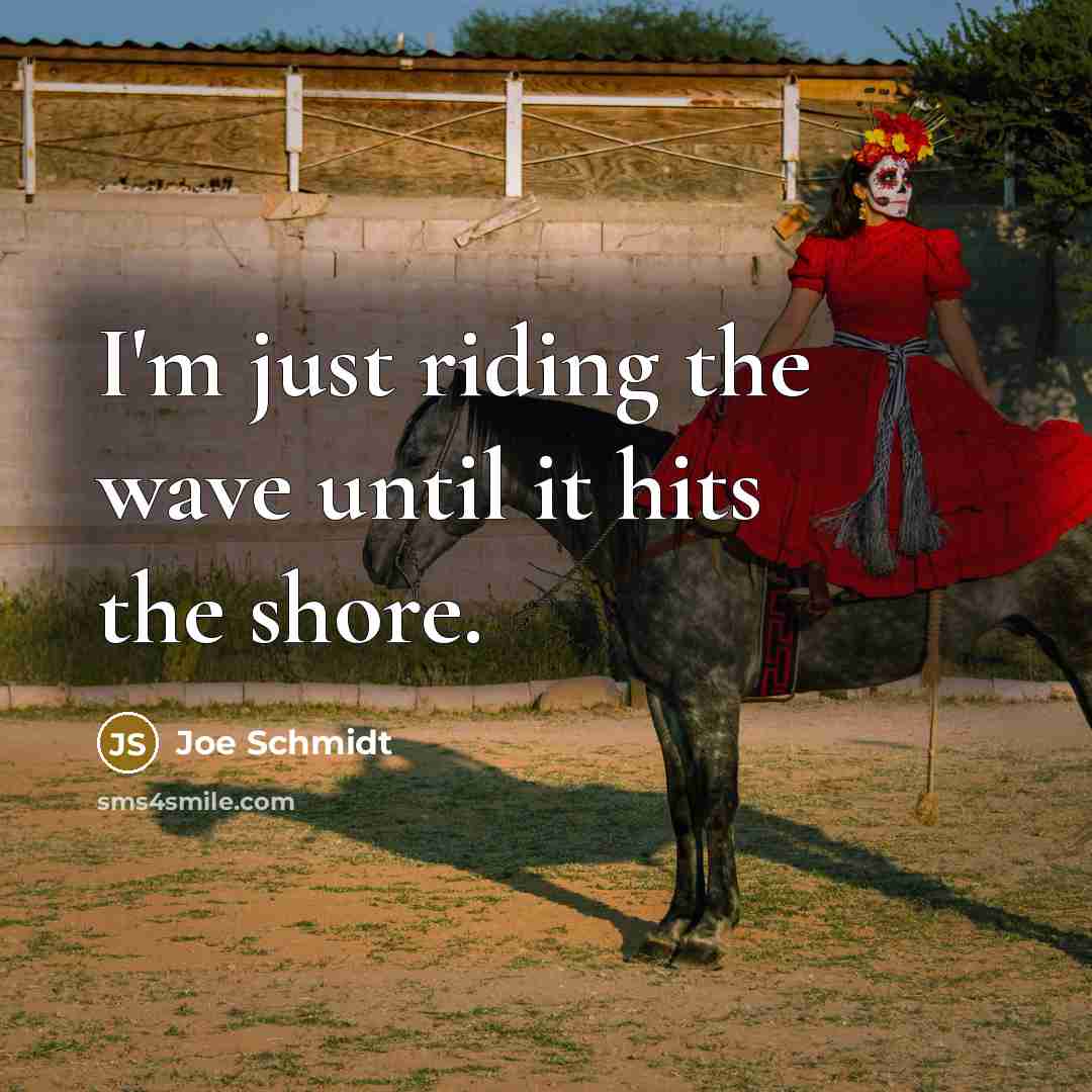 “I'm just riding the wave until it hits the shore.” quote by Joe Schmidt