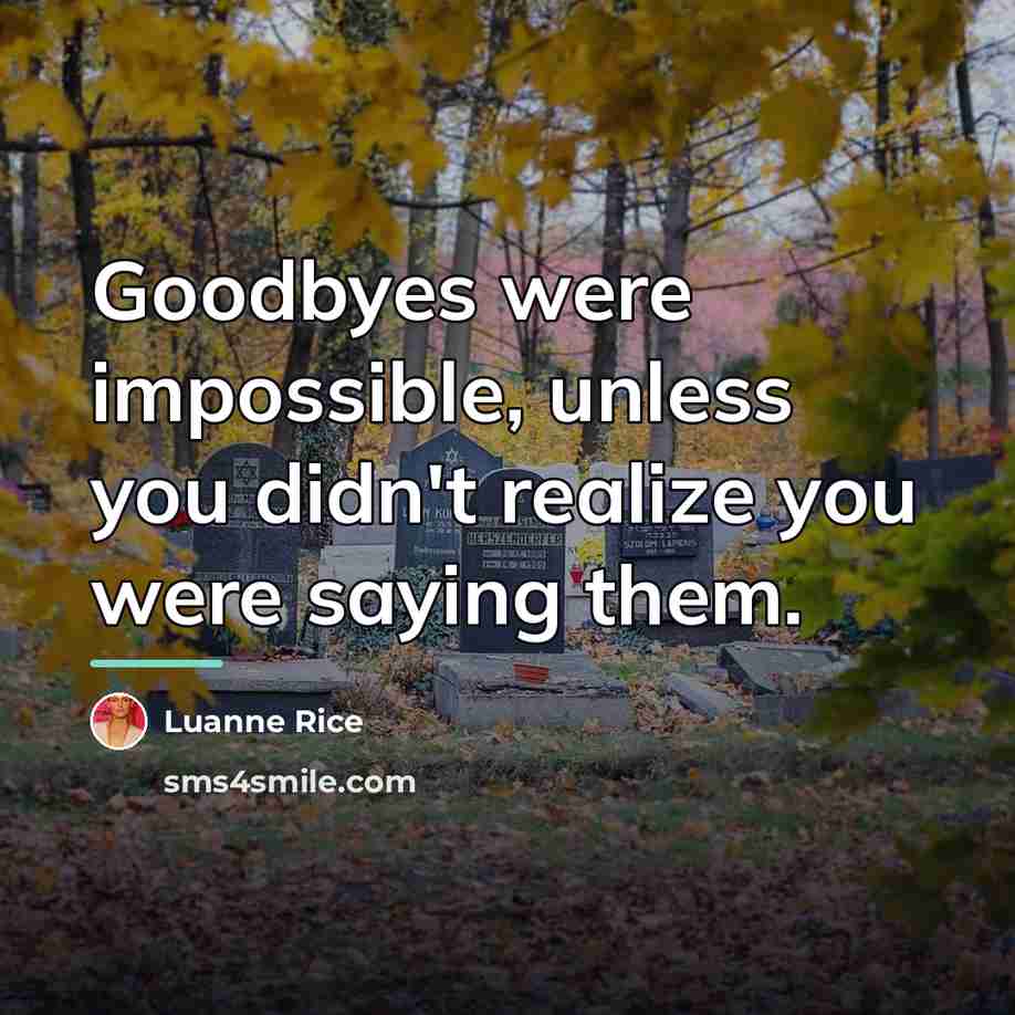 “Goodbyes were impossible, unless you didn't realize you were saying…” quote by Luanne Rice