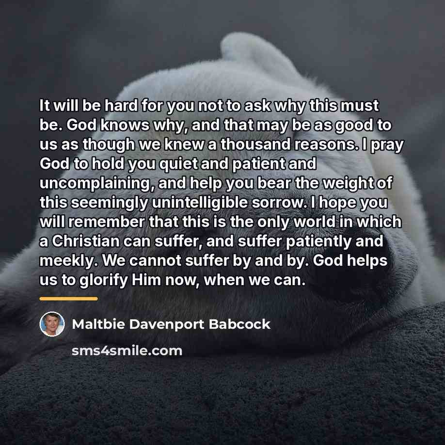 “It will be hard for you not to ask why…” quote by Maltbie Davenport Babcock