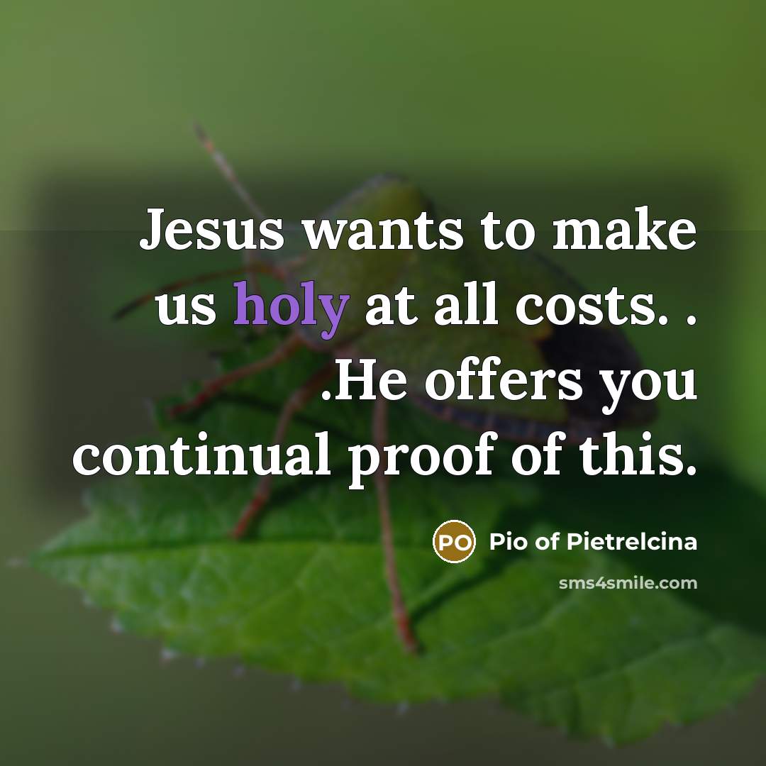“Jesus wants to make us holy at all costs. .…” quote by Pio of Pietrelcina