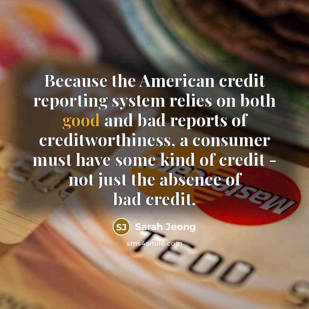 “Because the American credit reporting system relies on both good…” quote by Sarah Jeong