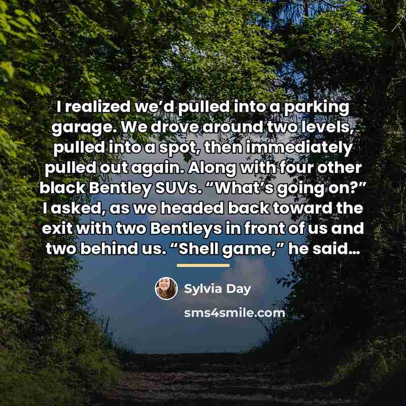 “I realized we’d pulled into a parking garage. We drove…” quote by Sylvia Day