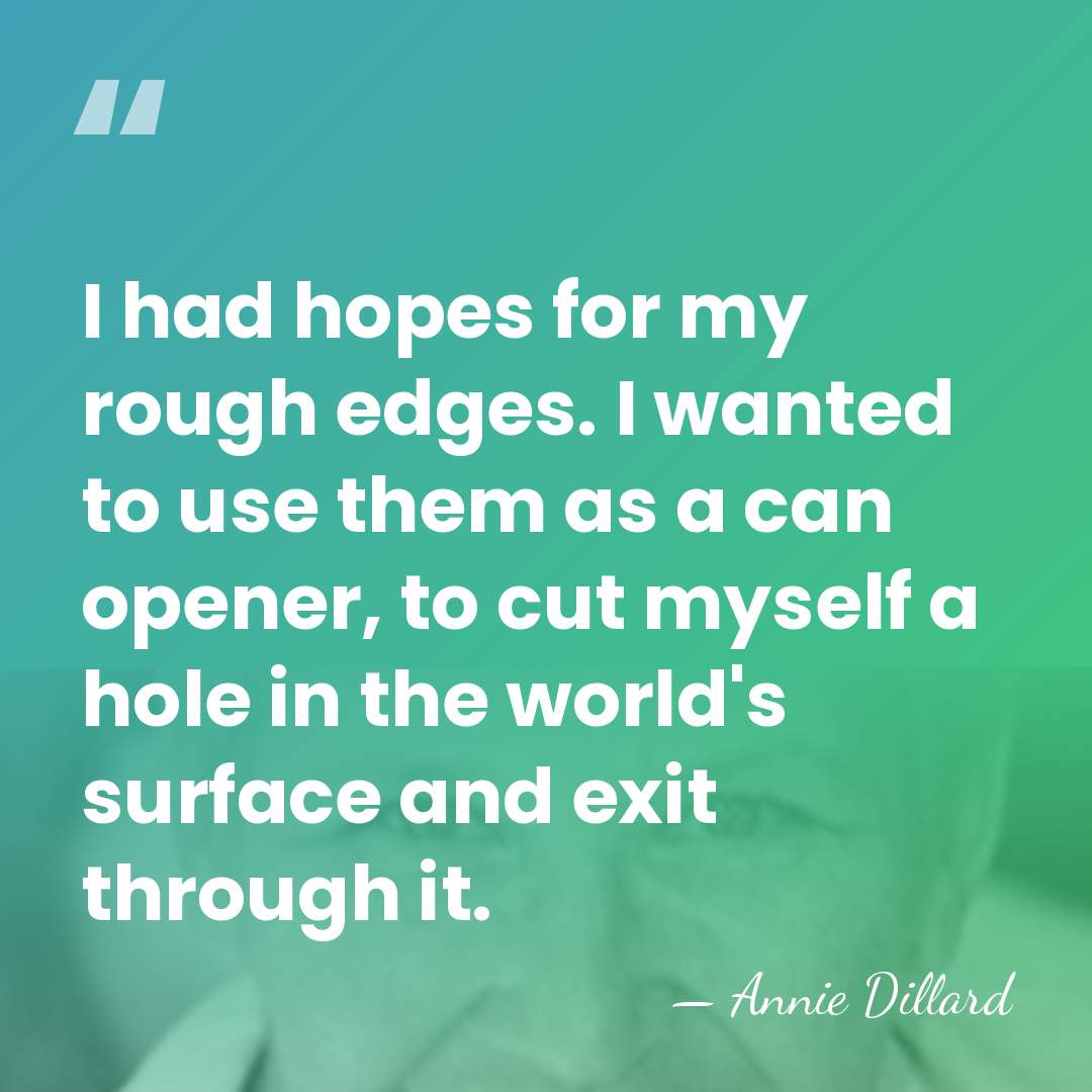 I had hopes for my rough edges. I wanted to use them&hellip; - Annie Dillard