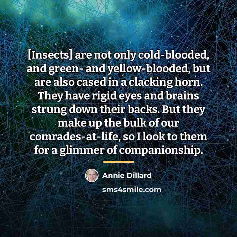 “[Insects] are not only cold-blooded, and green- and yellow-blooded, but…” quote by Annie Dillard