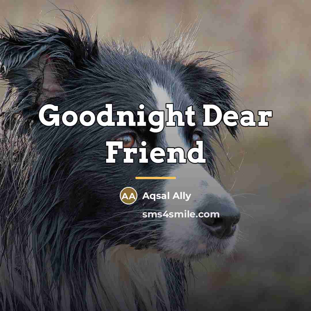 “Goodnight Dear Friend…” quote by Aqsal Ally
