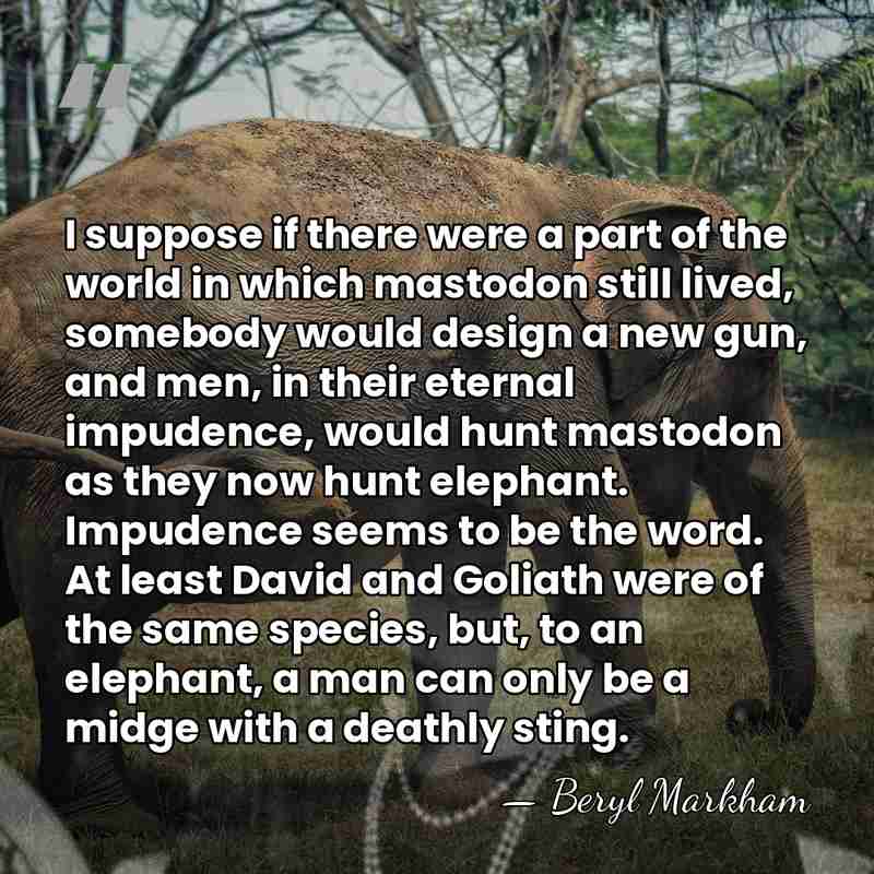 I suppose if there were a part of the world in which&hellip; - Beryl Markham