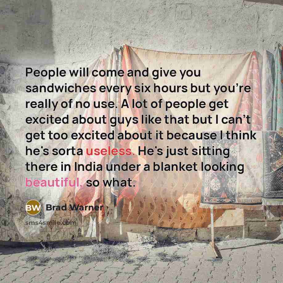 “People will come and give you sandwiches every six hours…” quote by Brad Warner