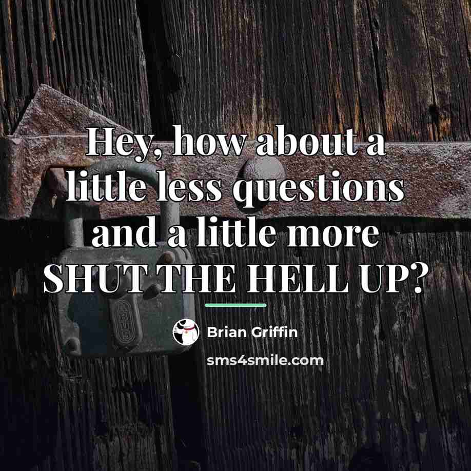 “Hey, how about a little less questions and a little…” quote by Brian Griffin