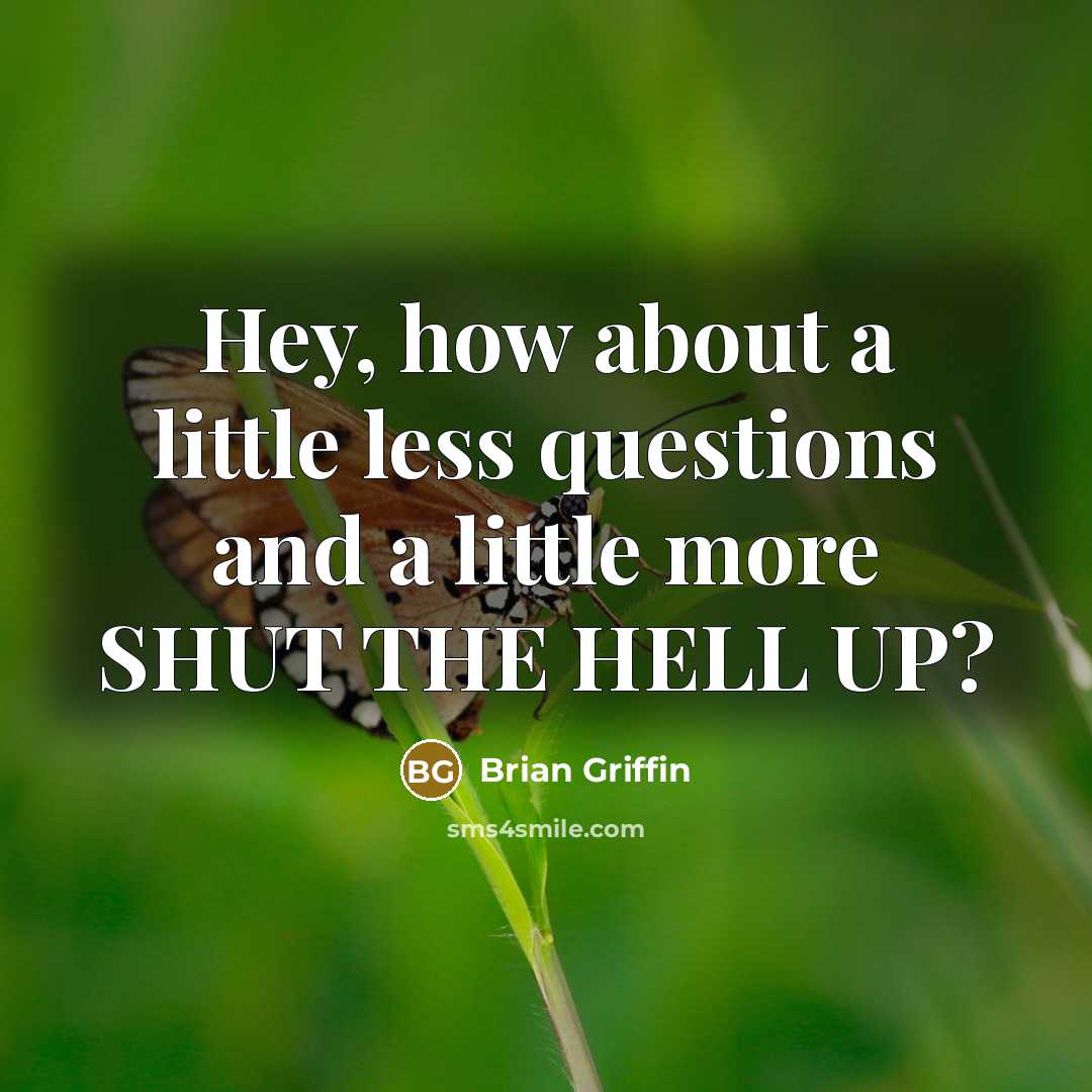 “Hey, how about a little less questions and a little more SHUT THE HELL UP?” quote by Brian Griffin