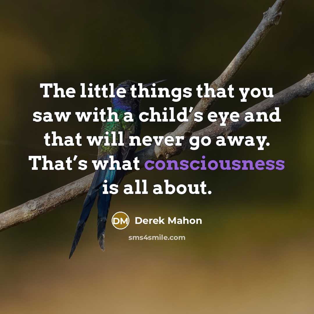 “The little things that you saw with a child’s eye and that will never go away. That’s what consciousness is all about.” quote by Derek Mahon