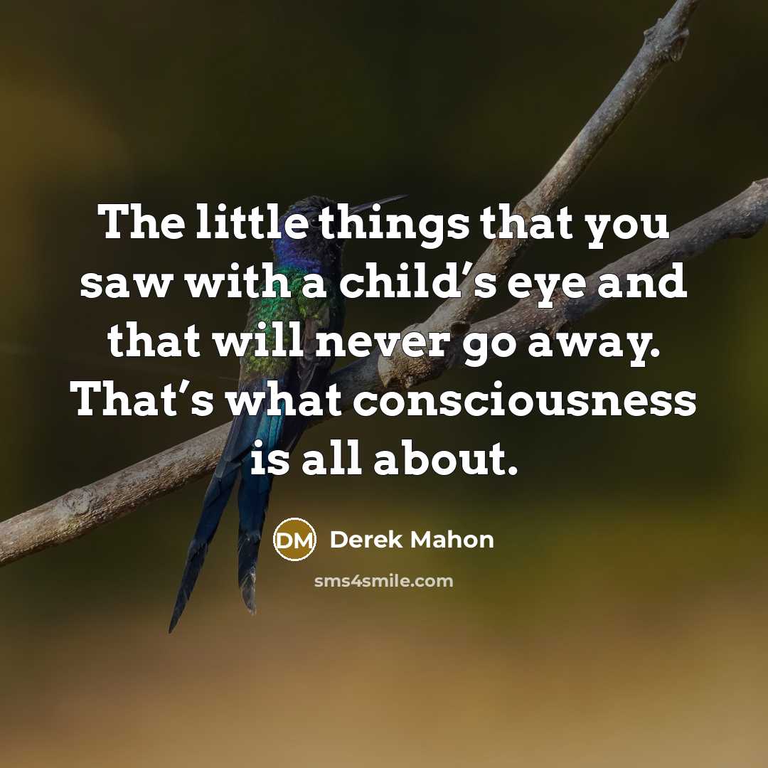 “The little things that you saw with a child’s eye…” quote by Derek Mahon