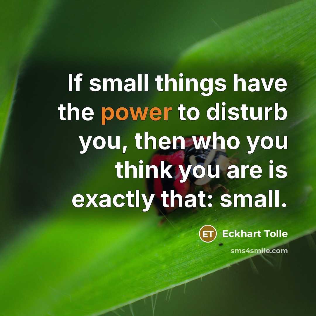 “If small things have the power to disturb you, then who you think you are is exactly that: small.” quote by Eckhart Tolle
