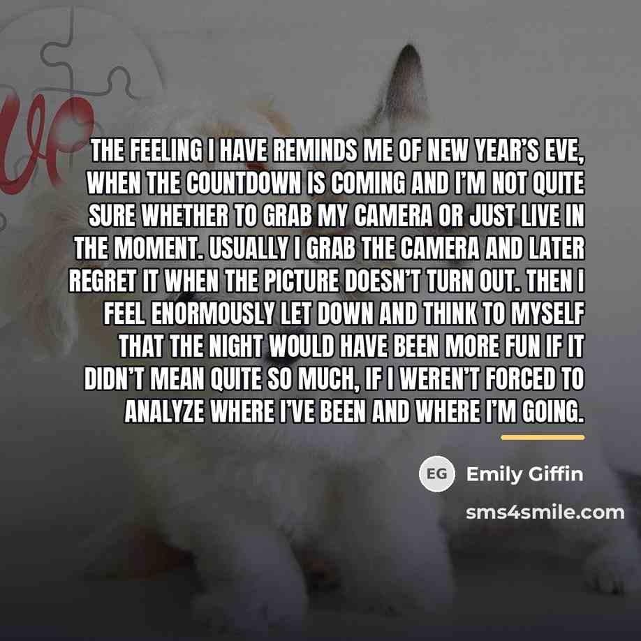 “The feeling I have reminds me of New Year’s Eve,…” quote by Emily Giffin