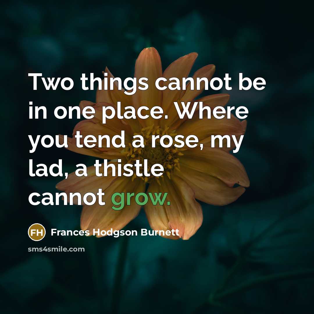“Two things cannot be in one place. Where you tend a rose, my lad, a thistle cannot grow.” quote by Frances Hodgson Burnett