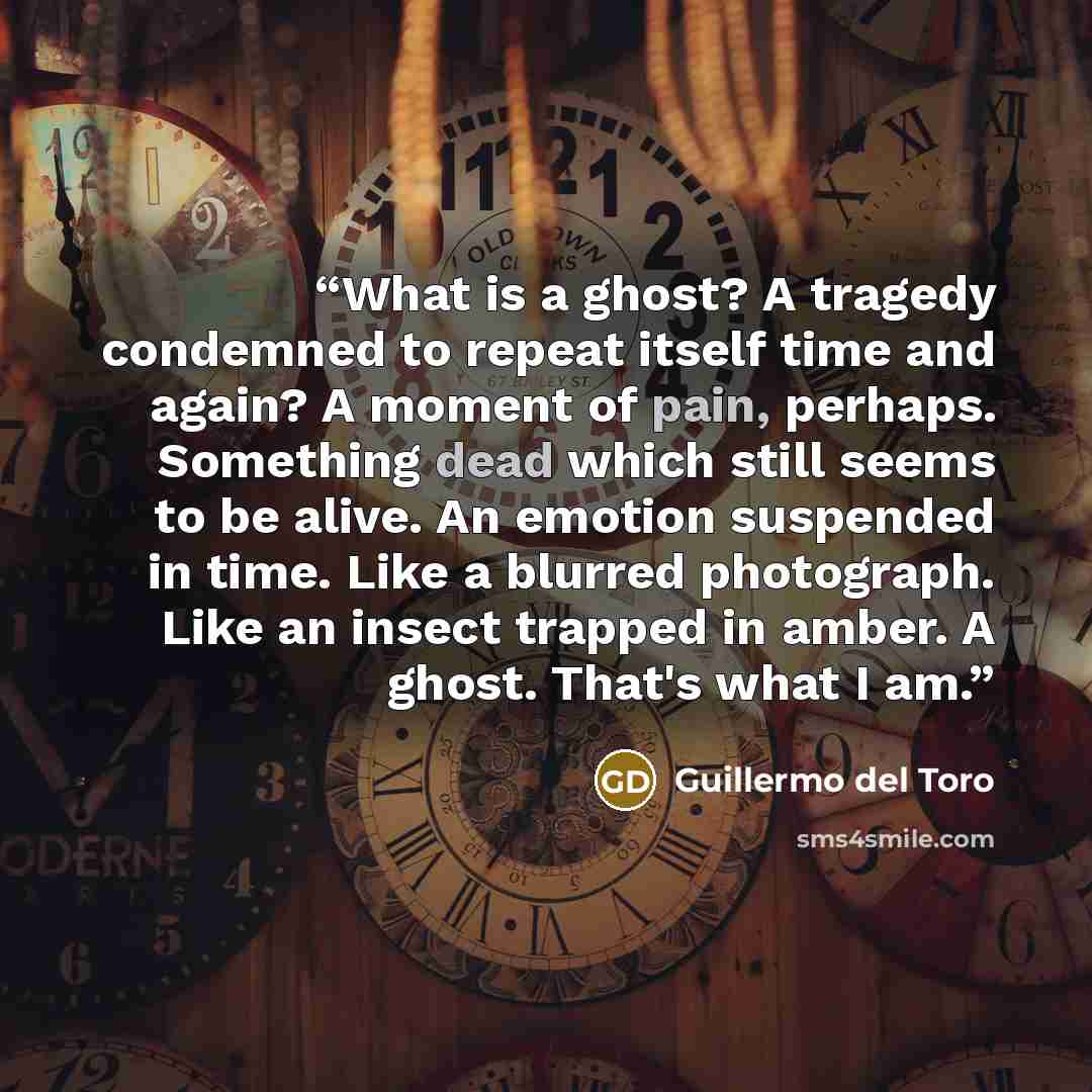 “What is a ghost? A tragedy condemned to repeat itself time and again? A moment of pain, perhaps. Something dead which still seems to be alive. An emotion suspended in time. Like a blurred photograph. Like an insect trapped in amber. A ghost. That's what I am.” quote by Guillermo del Toro