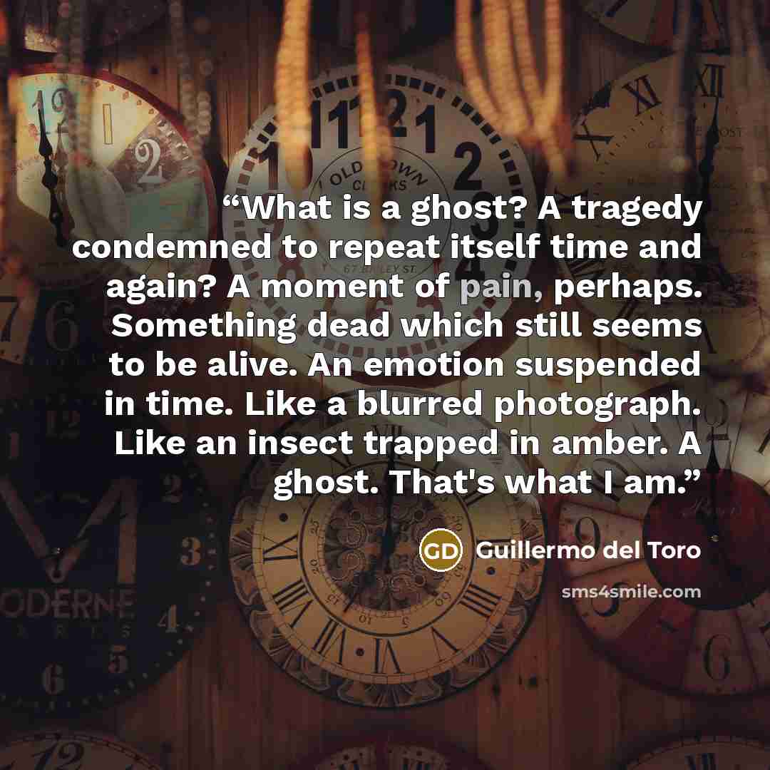 “What is a ghost? A tragedy condemned to repeat itself time and again? A moment of pain, perhaps. Something dead which still seems to be alive. An emotion suspended in time. Like a blurred photograph. Like an insect trapped in amber. A ghost. That's what I am.” quote by Guillermo del Toro