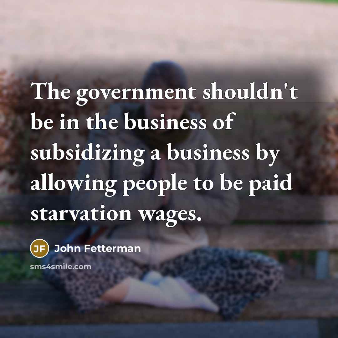 “The government shouldn't be in the business of subsidizing a…” quote by John Fetterman