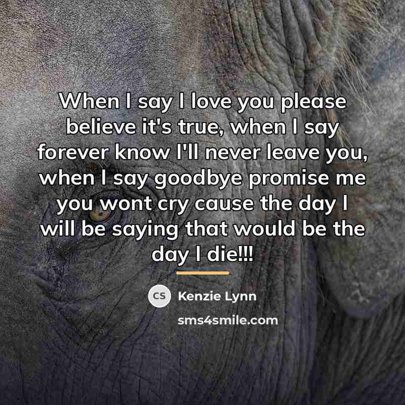 “When I say I love you please believe it's true,…” quote by Kenzie Lynn